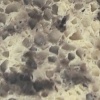 Cacao Light 0015